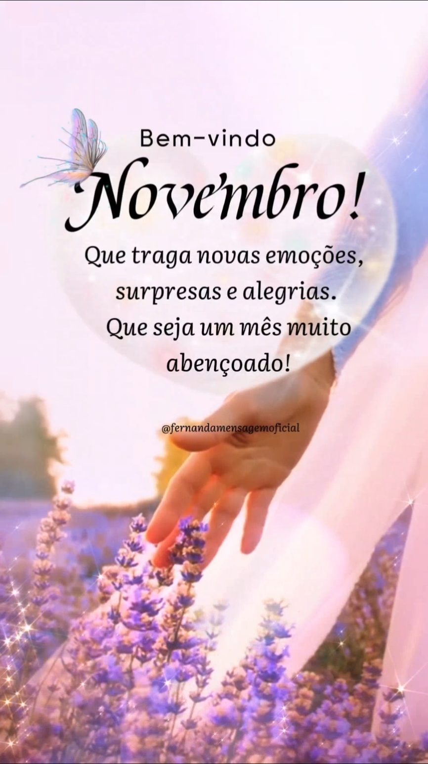 Bem-vindo, Novembro!🌹 . . . . . #bemvindo #novembro #tiktok 