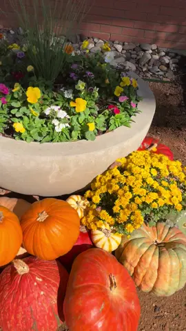 #beautiful #fall #lunch 