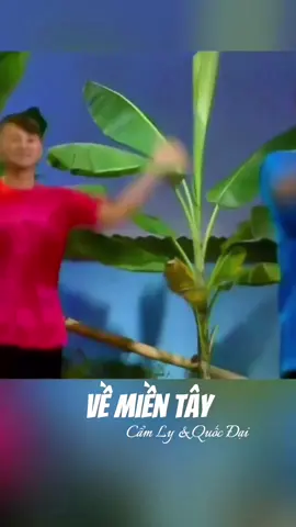 Về Miền Tây || Cẩm Ly & Quốc Đại#camly #chitucamly #camlyofficial #chitumusic 