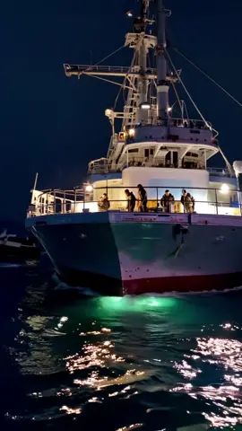 Mermaids discovered in the North Sea #mermaid #siren #seamonster 
