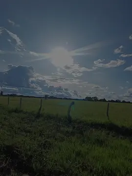 NOVIEMBRE DILE A DICIEMBRE @Jorge F. Guerrero S. #elguerrerodelfolklore #jorgelovers♡ #llanerasvenezolanas🇻🇪 #llanovenezolano #musicallanera #llanerosporelmundo #barinaszvzla🇻🇪🇻🇪🇻🇪 