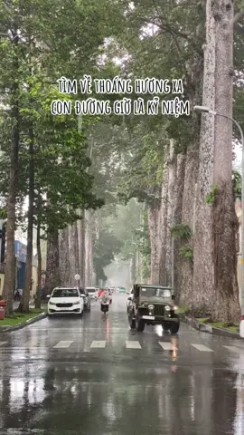 Như tìm về thoáng hương xa. Con đường giờ là kỷ niệm - Phố xa #nhachaymoingay #phoxa #nhactamtrang #muisc #fyp #xuhuong #phamthaison6868 