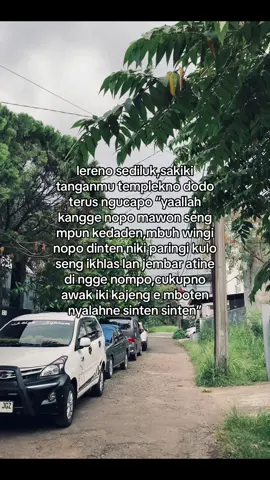 kalem kalem mawon gusti😇