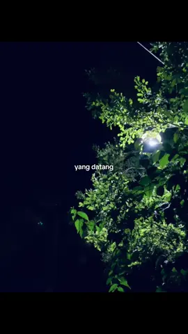 jakarta hari ini x serana, jadi apaa🥹 #forrevenge #jakartahariini #serana #liriklagu #galaubrutal #foryoupage #fyp #matirasa 