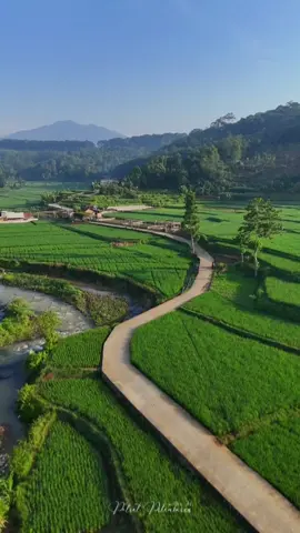 Matak tengtrem kana emutan sareng manah  📌 Sundawenang, Parungkuda - Sukabumi #kampung #sunda #sawah #desa #gunung #potretpilemburan #parungkuda #sukabumi #sukabumijawabarat #sukabumihits #sukabumiexplore #jawabarat #desawisata #viral #fyp #kemenparekraf 
