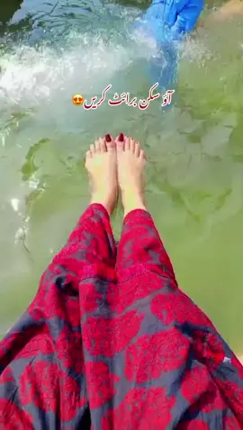 🌺🕊️#trending #fyp #Vlog #shorts #foryou 