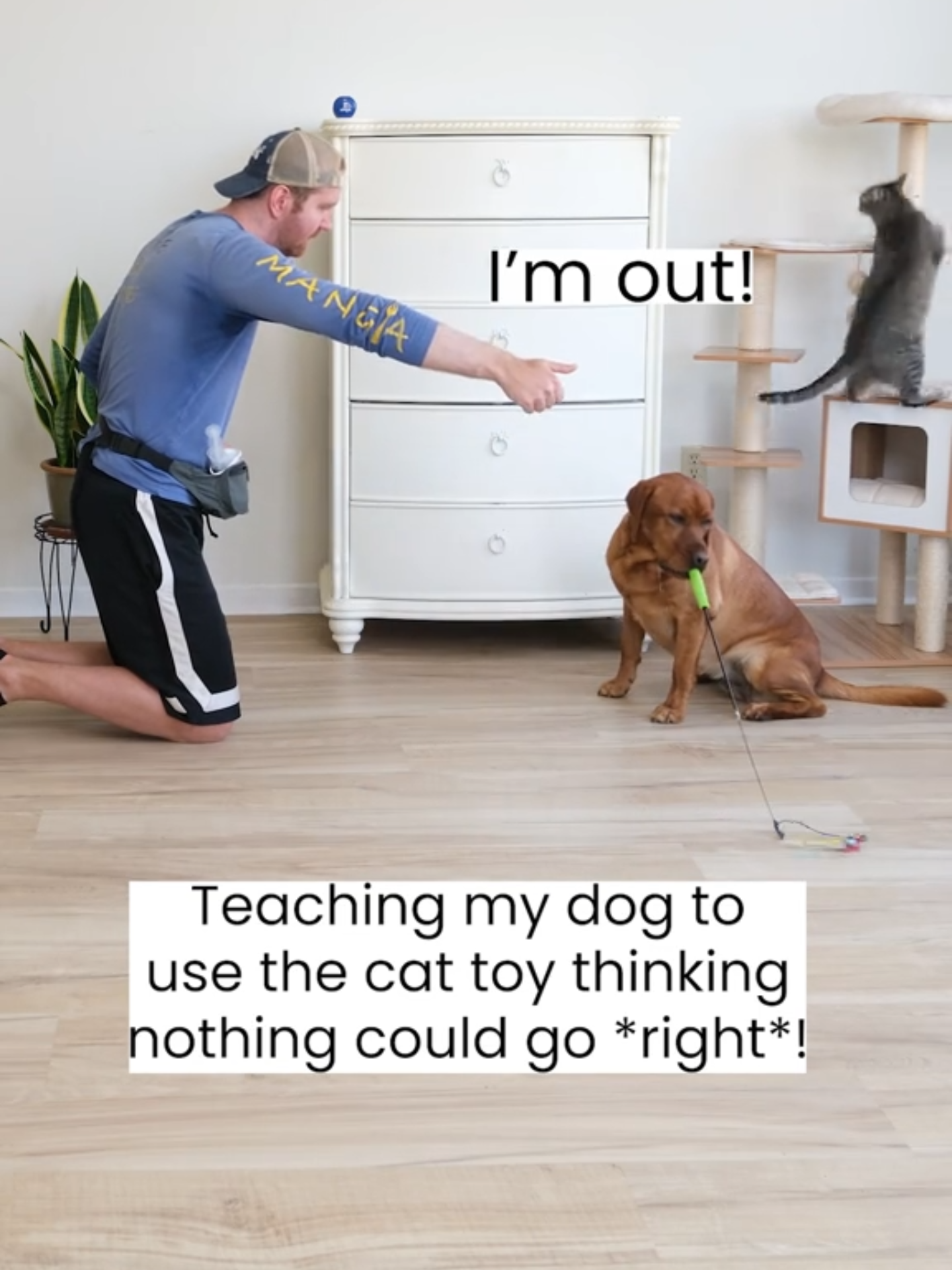 The Ultimate Dog Toy