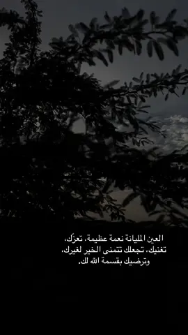 #الكويت🇰🇼 #شتاء_البرد_اجواء_شتويه #مطر 