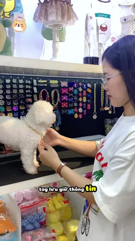 Trao cơ hội trở về nhà bằng việc đeo thẻ tên cho các bé!! #pettagmozzi #thetenthucung #bangtenchomeo 