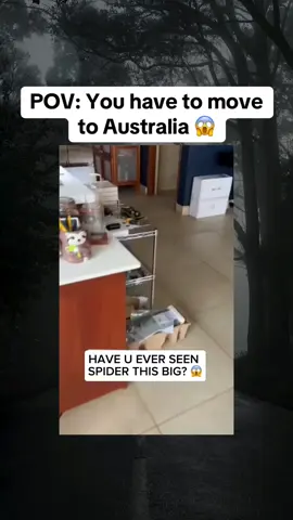 POV: You have to move to Australia #scary 