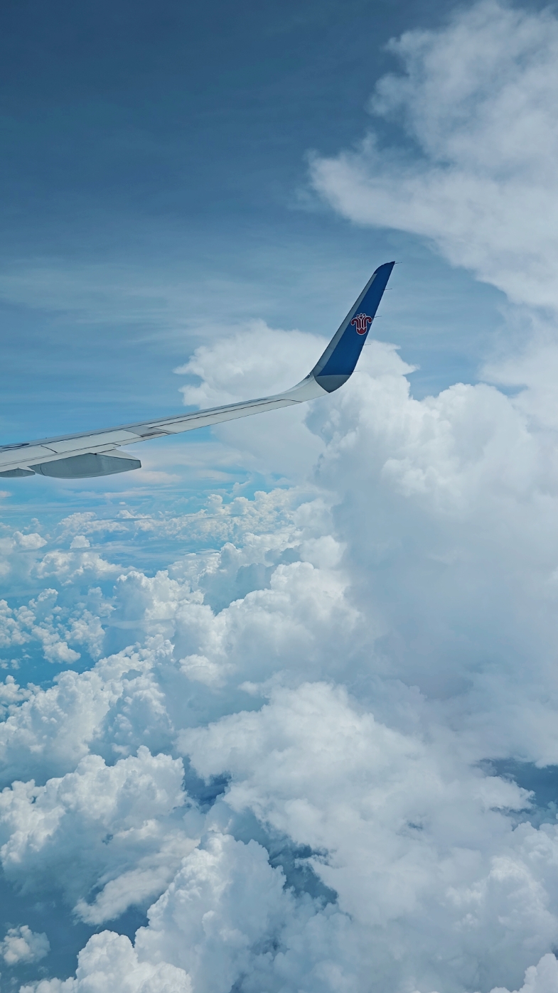 Mentahan Background Pemandangan Awan dari Sayap Pesawat Terbang di Langit #pemandangan  #pesawat #langitaesthetic #langit #background #sky #mentahanvideoawan #fyp #videoaesthetic #awan #aesthetic #anginrindu #ronyparulian 