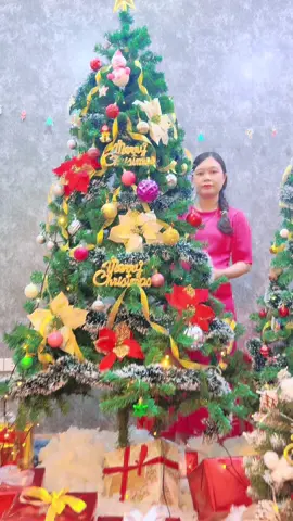 Cây thông noel full phụ kiện siêu đẹp ạ #noel #giangsinh #merrychristmas #caythongnoel #caythonggiangsinh #trangtrigiangsinhtainha 