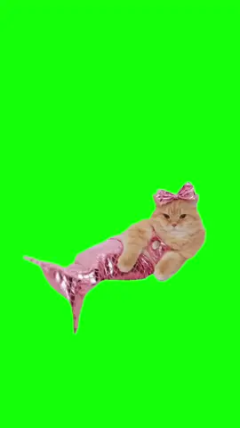 Mermaid cat Meme Green Screen #greenscreen #discord #meme #viral #cat #mermaid #ai #catai