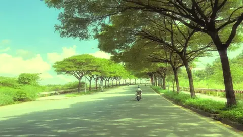 Mát 🌳#canhdep #langdaihoc #tvy