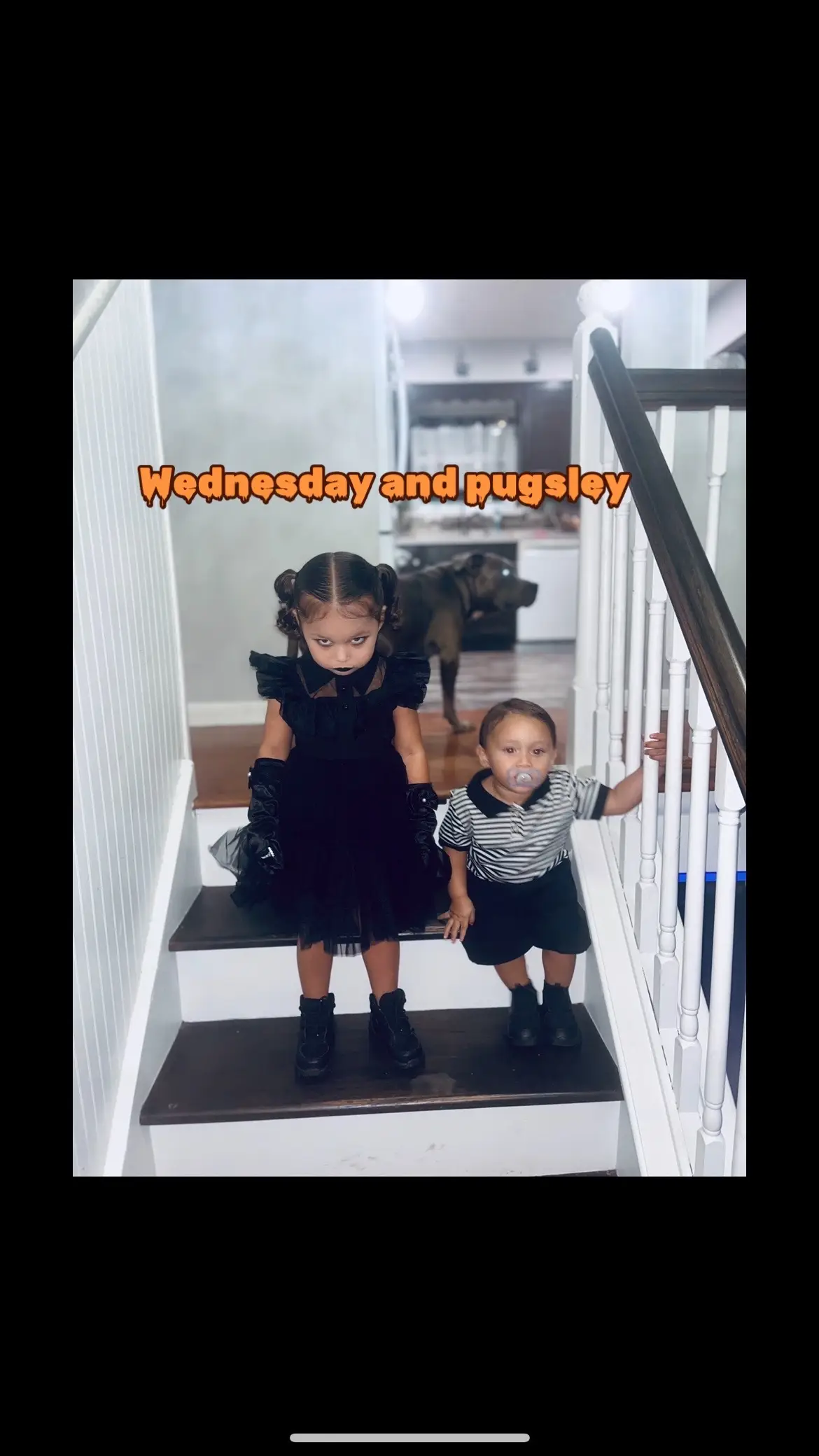 #addamsfamily #wednesdayaddams #pugsleyaddams 