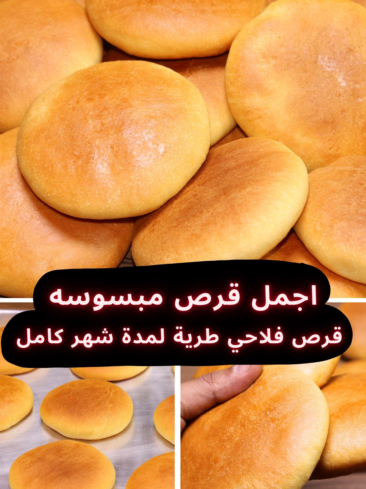 طريقة عمل القرص المبسوسة او القرص الفلاحي الطرية في البيت مثل الافران❗وطريقة حفظها لمدة شهر كامل بنفس الطراوة والجودة 👌 🔷مكونات ومقادير القرص : - 2 وربع كوب ماء او حليب دافئ ( 310م ). - من 4 الي 5 ملاعق طعام كبيرة سكر ( 50 - 60ج ). - نصف ملعقة صغيرة ملح ( 2.5ج ). - 2 ملعقة كبيرة خميرة ( 18-20ج ). - ثلثين كوب سمنه او سمنه علي زيت ( 150ج). - كيلو دقيق فاخر متعدد الاستخدام ( 1000ج). #قرص #القرص #مخبوزات #معجنات #طبخ