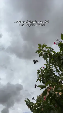 مرحباً نوفمبر الأحب لـقلبي♥️ .. #اكسبلور #explore #foryo #november #نوفمبر 