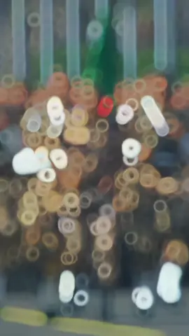 #استعراض #الجيش_الوطني_الشعبي🇩🇿🇩🇿💪♥️ #الدرك_الوطني_الجزائري #fyp #explore #trendingvideo #المفرزة_الخاصة_لتدخل_الدرك_الوطني #🧑‍✈️💚🇩🇿👑gn👑🇩🇿💚👮 