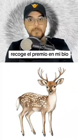 #paratodosustedes #elmudomx #pepemillonario #parati #millionaire #paratodos #paratiiiiiiiiiiiiiiiiiiiiiiiiiiiiiii #paratodosdetiktok♡ #mexico #spain #ecuador🇪🇨 #millonario #elmundo #france #portugal #argentina🇦🇷 #usa🇺🇸 #colombia🇨🇴 #chile 