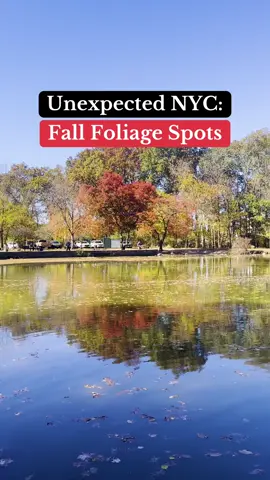 Catch stunning fall foliage at these hidden gem spots in New York City!   #iloveny #travel #traveltiktok #tiktoktravel #besttravel #travelgoals #nytravel #nyc #queenscountyfarm #queens #thebattery #manhattan #greenwoodcemetery #brooklyn #alleypondpark #wavehill #thebronx #rooseveltisland #prospectpark #forestpark #willowbrookpark #forttryonpark #fyp   🎥: @wavehill
