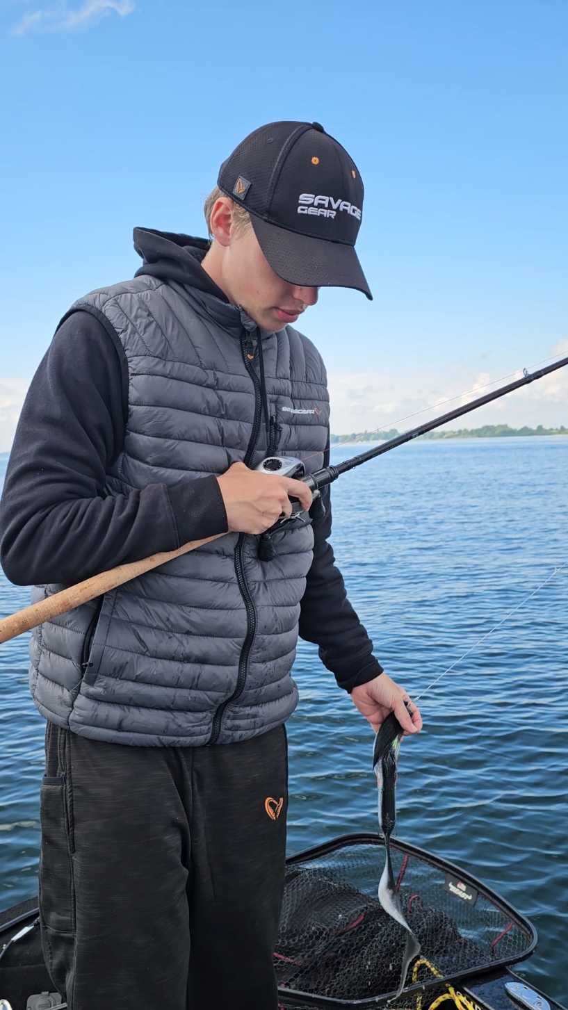 möööp😂#angeln #fishing #bait #köder #swimbait #swimbaitfishing #bassfishing 