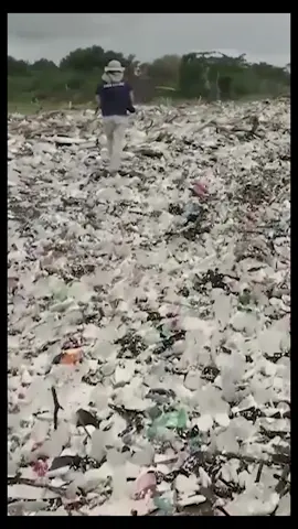 #noseasplastico     #leyantiplasticoya       #verdadesincomodas    #inteligenciacolectiva     