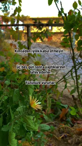 Yazık … 