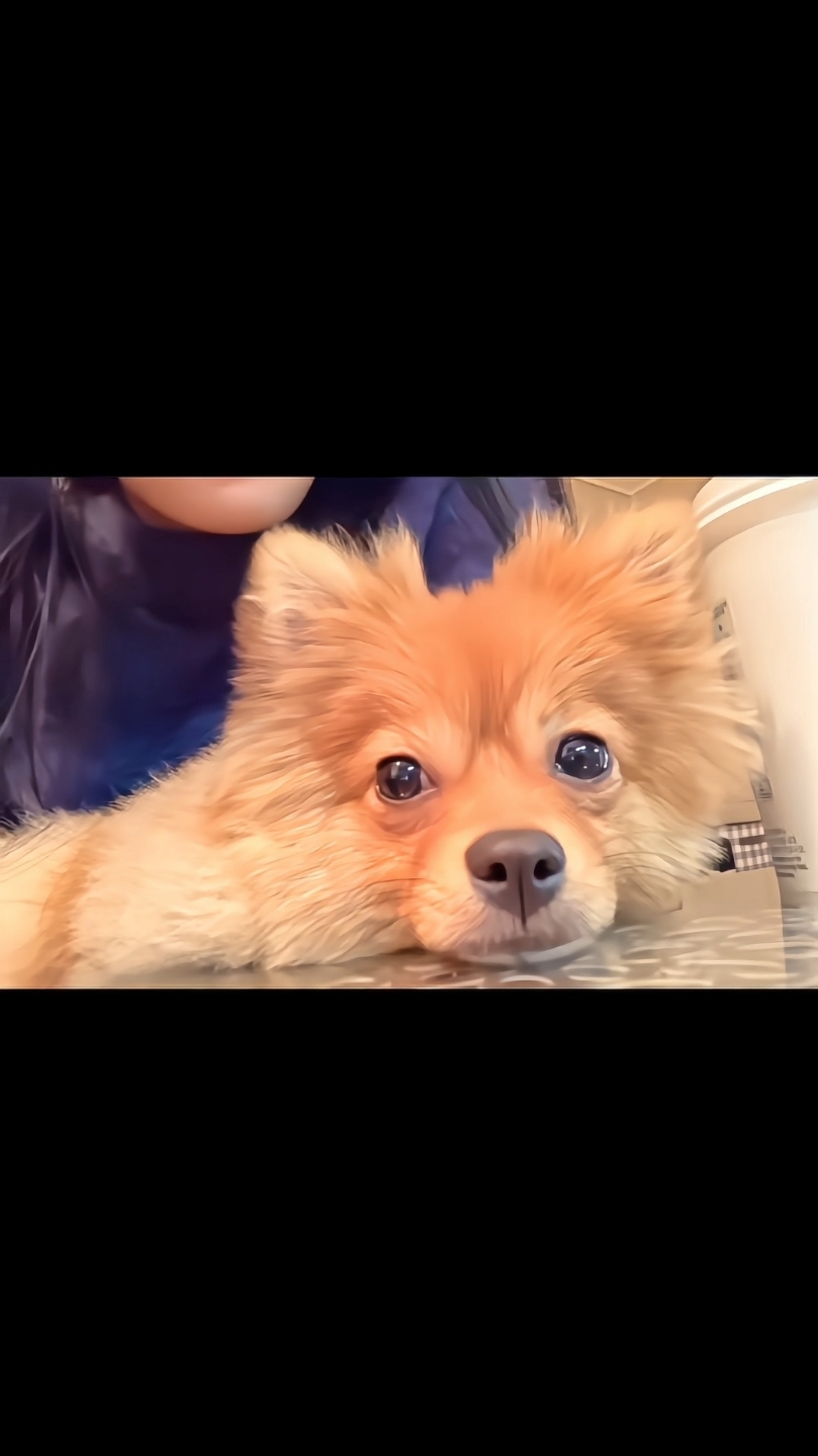 KANU🥰🎧🌻🤍   #Rohyoonseo #thefrog #hearme  #fyp #fypシ #cute #yoonseo #crashcourseinromance #20centurygirl #ourblues #namhaeyi #happy #CapCut 