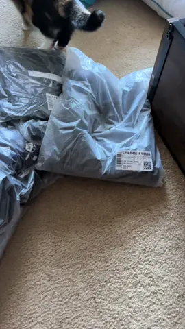 @Fabletics me patrocina? 😂