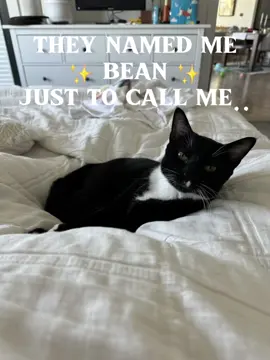 we luv u beeba booba goo gone beena weena little miss