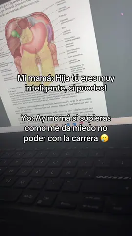 🥲🥲 #fyp #viral_video #medicina #medstudent #universidad #estudiantedemedicina #estudiantes #carrerauniversitaria #salud #cienciasdelasalud #doctora 