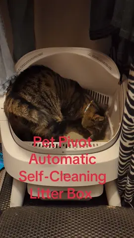 #BlackFridayEarlyDeals #LitterBox @PetPivot US #Automatic #Cat #Litter #Box #fyp Open-Top Self-Cleaning Odor Free Waste Disposal includes Trash Bags #PetPivot #CatTok #AutoScooper11 #Sale #Trending #ScreamingChihuahua 