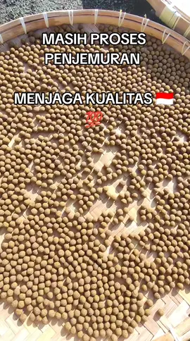 JAMU K.M Masih Proses Penjemuran, Untuk Sabat K.M Semua. #penjemuran #jamukm #herbal #herbalayam #herbal #kualitas 