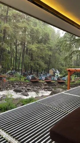 Emng wes musime 🍃#nganjuk24jam #jolotundo 