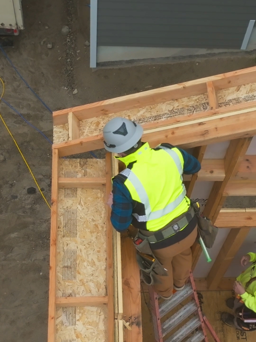Framing 201: Rake Wall connection. Lap the sheathing at the corners, pull tight with @Simpson Strong-Tie  SDWS Timber Screw  . #framersareadyingbreed #framer #skilledtrades #bluecollar #huberpartner 