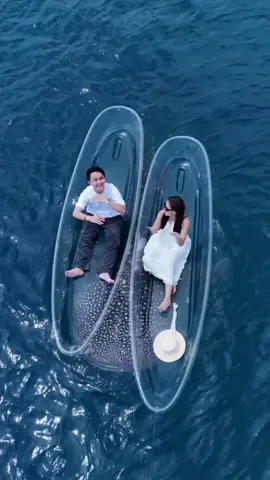 Trend apt dengan paus serly di gorontalo #manado #pasangancouple #couplemanado 