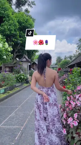 🌸🌺🪻🌼