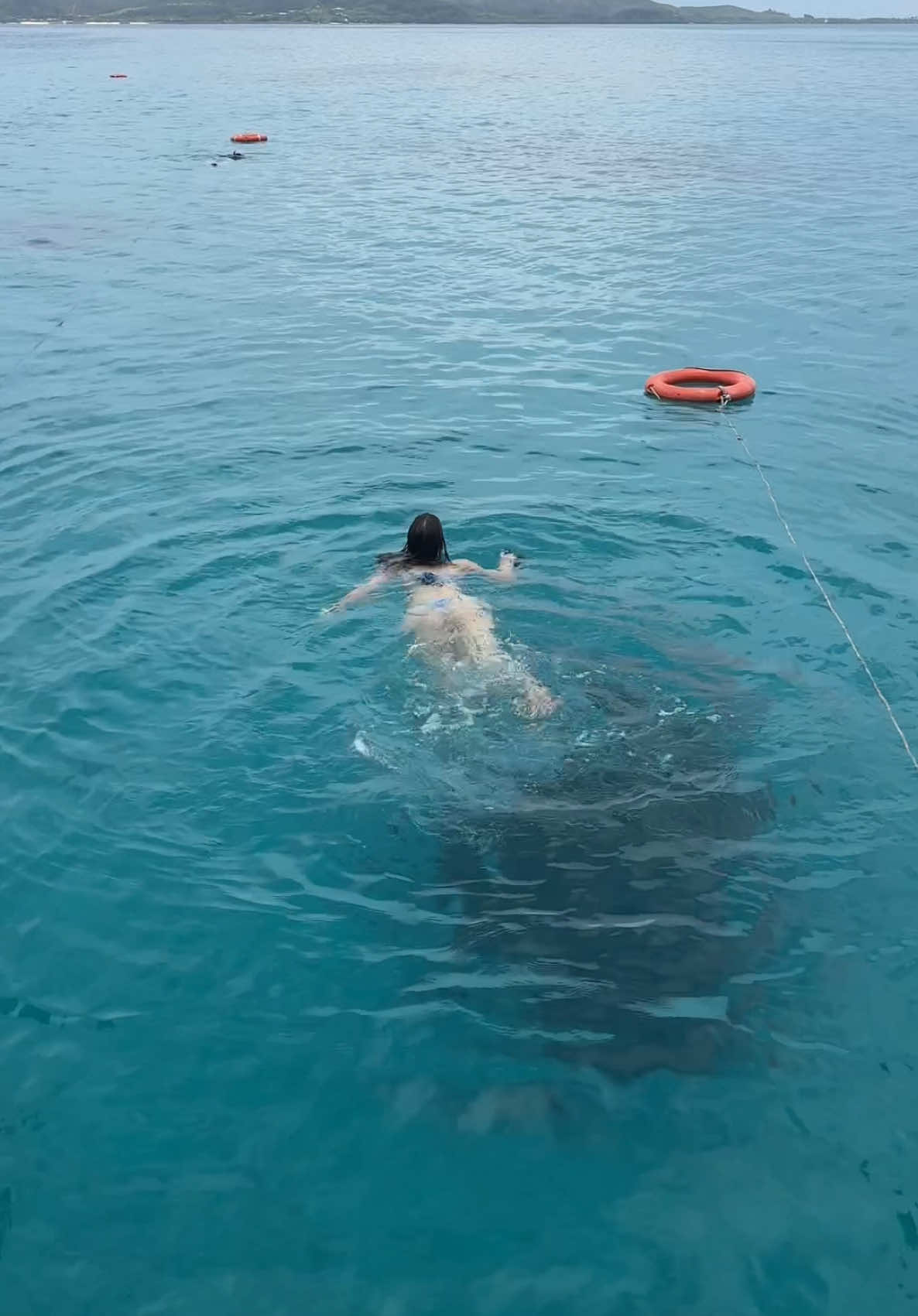 I see fishyyyy 🐠 #fiji 