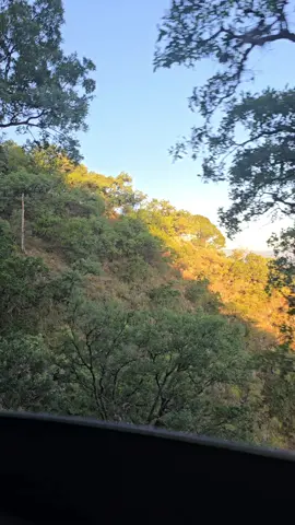 #parati #tiemposdeaguas🌨👌🏻 #pppppppppppppppp #fypシ #viral #ranchos #naturaleza #raptor 