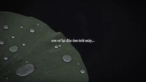 để lòng quyến luyến dù trăm bể, ngàn năm vẫn còn kể.#amnhac #nhacchill #nhactamtrang #tinhyeu #xuhuongtiktok #fyp 