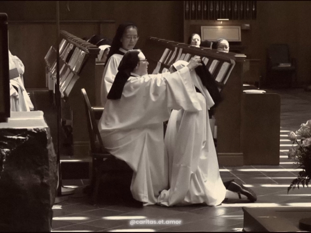 Oh, to be one of them. . . . . . #catholic #catholictiktok #nun #pray #catholicism #catholicsoftiktok  #sistersinchrist #fyp #foryou 