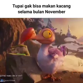 Noo😭 tupai #fyp #fouryou #foryoupagе #meme #memes #memestiktok #xybca #november 