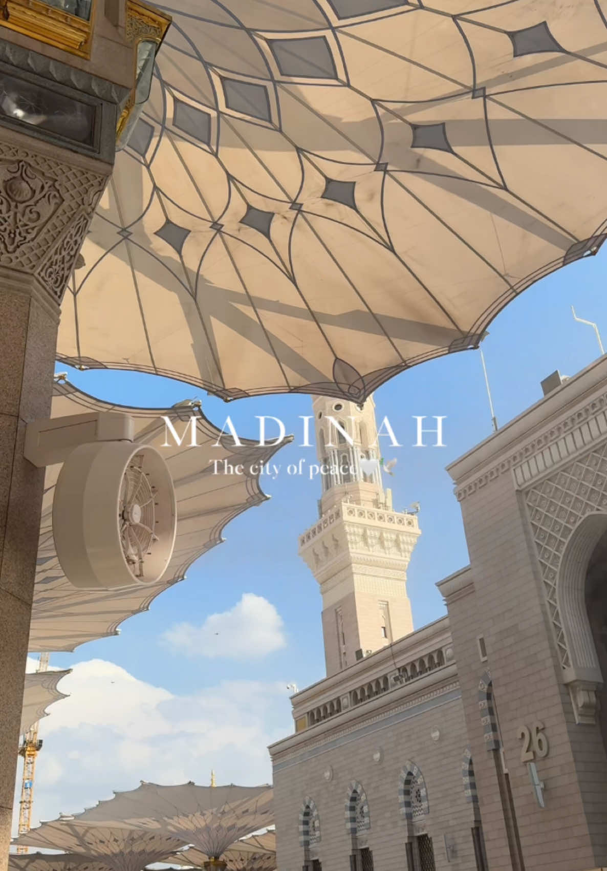 MADINAH the city of peace🕊️✨🤍 #madina #madinah #masjidnabawi #madinahalmunawaroh #nabawimosque #zamzam #islam #islamic #islamic_video #islamicquotes #islamicpost #muslim #muslimah #ummah #umrah2024 #fyp #foryou #foryoupage❤️❤️ #treanding #top #tik_tok 