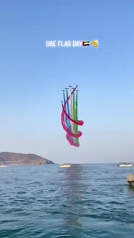 3 November uae flag day 🫡🇦🇪#flagday #uae #uaelover 