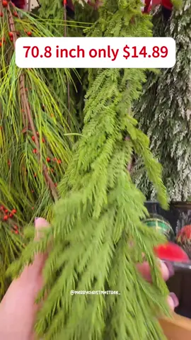 #christmas #norfolk #garland #fory #foru #house #tiktokshop #fyp #plant #shopping #tiktokshop 