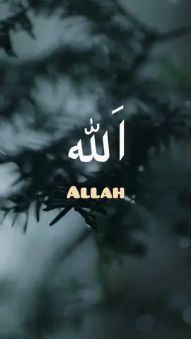 Allah Ya Allah #allah #allahuakbar #islam #zikir #zikirharian #zikirpenananghati #zikirpenananghati #selawat #sholawat #dzikir #short #fypシ゚viral #fyp #subhanallah #alhamdulillah #iloveallah #dubai #kunafa #islamic_video #dakwah #muslim 