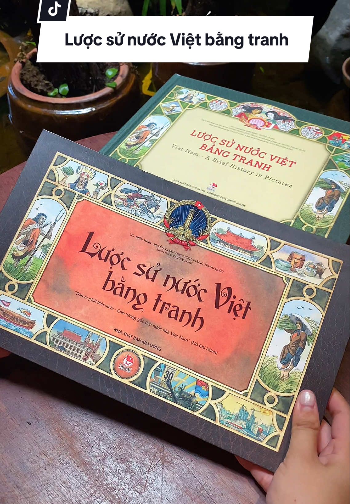 Lược sử nước Việt bằng tranh 🥰🥰 Cre: Fahasa_official #luocsunuocvietbangtranh #BookTok #reviewsach #nopainnogainbook 