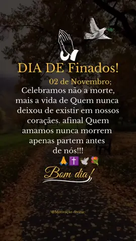 dia de finados ✝️❤️💐 . . . . . #luto #finados #diadefinados #motivacional #fradedodia #reflexao #bomdia #status #frasesinpiradoras  #sabado 