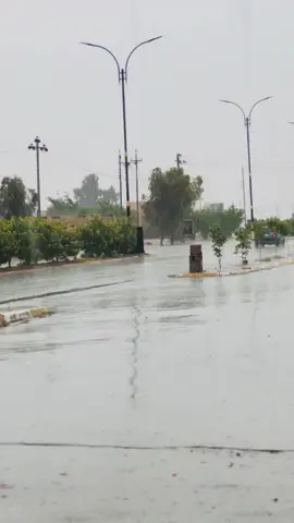 #مطر #الحويجة #اللهم_لك_الحمد_ولك_الشكر #مطر_غيوم_جمال_الجو_تصويري🌧️❄️ #كركوك_الحبيبه #الشعب_الصيني_ماله_حل😂😂 