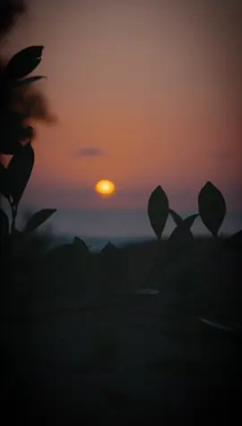 #حكمة_اليوم #اقوال_وحكم_الحياة #خواطر_للعقول_الراقية #اقتباسات #كلمات #حكم #اقوال #عبارات #تيك_توك #ترند #حكمة #تحفيز #حالات_واتس #حكمة_أعجبتني #tik_tok #viral_video #fyp #اكسبلور 